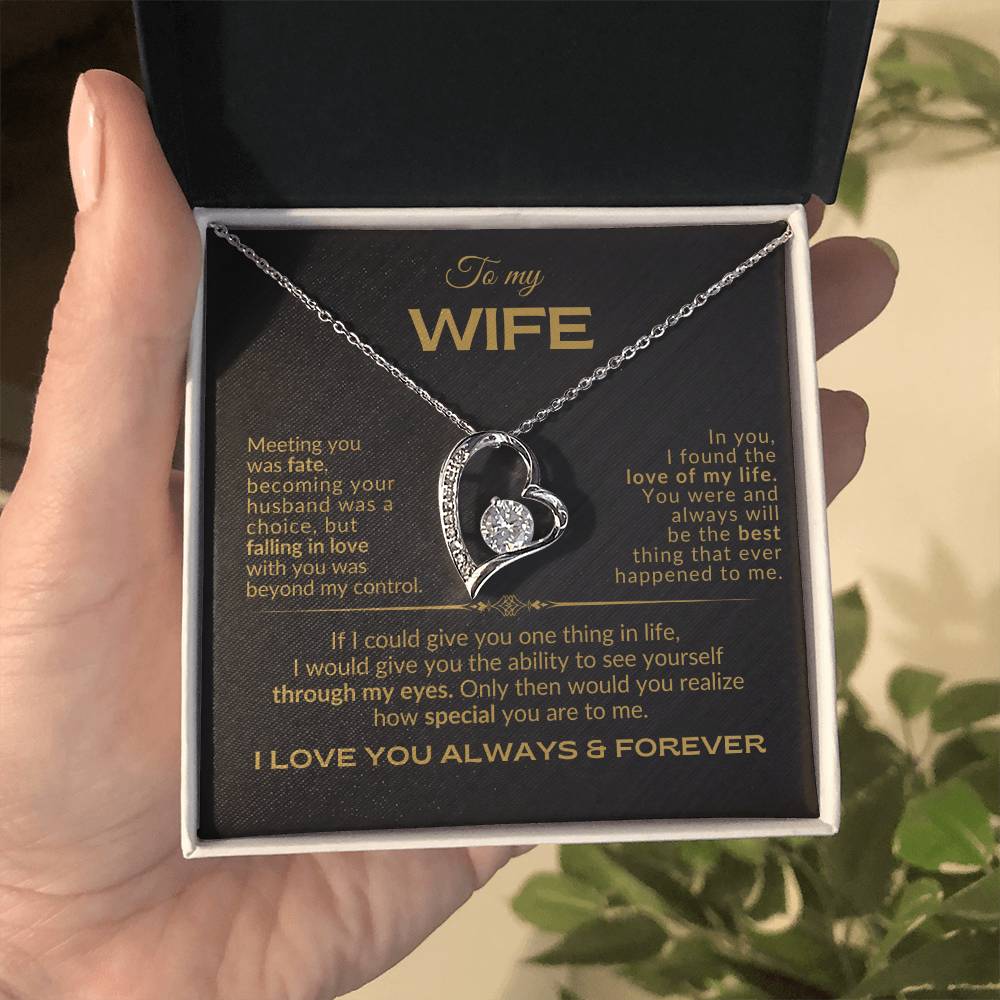 To My Wife - Meeting you was Fate - Forever Love Necklace - BG