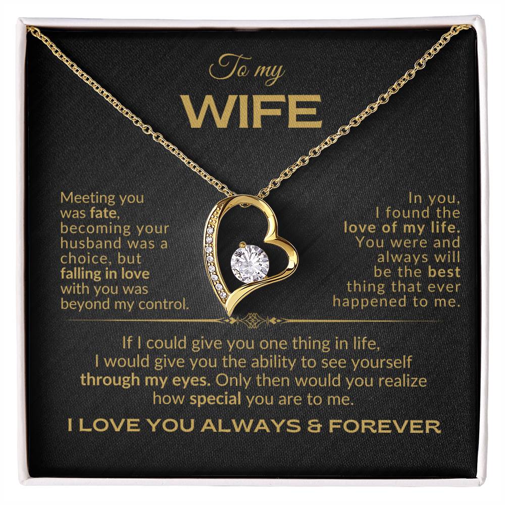 To My Wife - Meeting you was Fate - Forever Love Necklace - BG