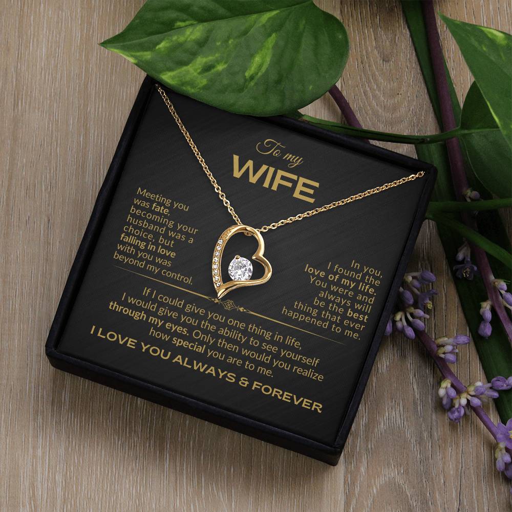 To My Wife - Meeting you was Fate - Forever Love Necklace - BG