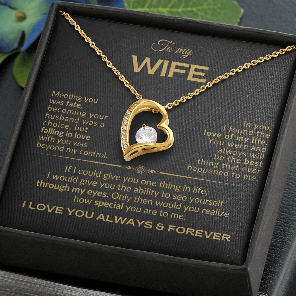 To My Wife - Meeting you was Fate - Forever Love Necklace - BG